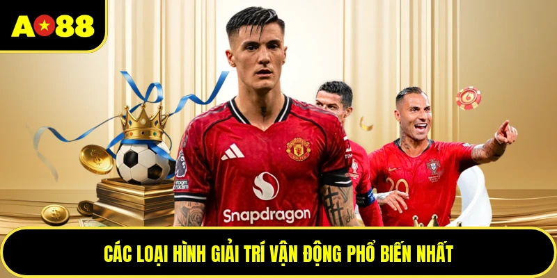 Các loại hình giải trí vận động phổ biến nhất