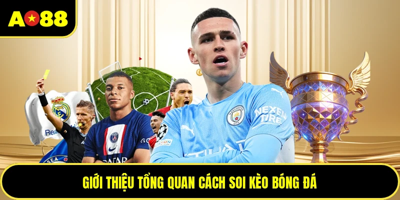 Giới thiệu tổng quan cách soi kèo bóng đá